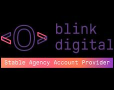 blink digital